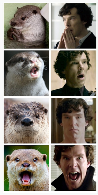 Illustration for article titled Is Benedict Cumberbatch only famous to nerds?